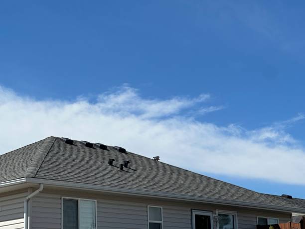 Best Wood Shake Roofing  in Versailles, PA